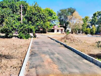 ചങ്ങനാശ്ശേരി തെങ്ങണാ ഗുഡ് ഷെപ്പേഡ് സ്കൂളിന് സമീപം 10, 15, 20 സെന്റ് സ്ഥലം വിൽപ്പനയ്ക്ക്
